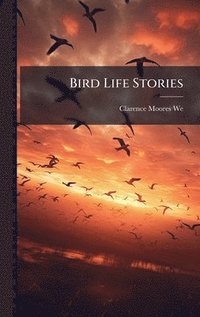 bokomslag Bird Life Stories