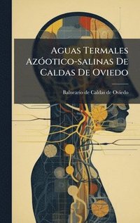 bokomslag Aguas Termales AzÃ3otico-salinas De Caldas De Oviedo