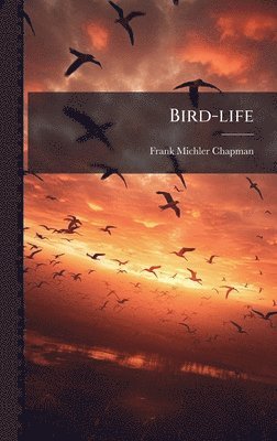 bokomslag Bird-life