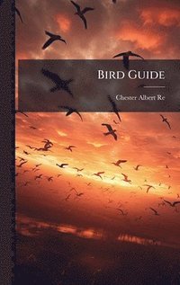bokomslag Bird Guide