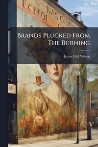 bokomslag Brands Plucked From The Burning