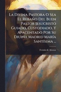 bokomslag Divina Pastora O Sea El Rebaño Del Buen Pastor Jesucristo Guiado, Custodiado, Y Apacentado Por Su Diuina Madrid MarÃ-a SantÃ-sima ...