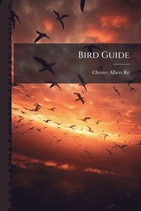 bokomslag Bird Guide