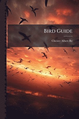 bokomslag Bird Guide
