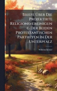 bokomslag Briefe Ã¿ber Die Projektirte Religionsvereinigung Der Beiden Protestantischen Partheyen In Der Unterpfalz
