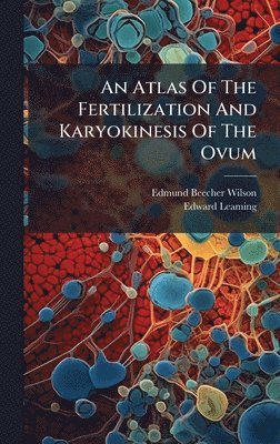 Atlas Of The Fertilization And Karyokinesis Of The Ovum