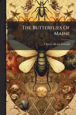 Butterflies Of Maine