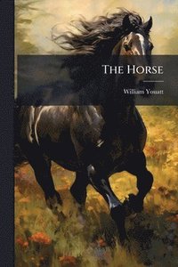 bokomslag Horse