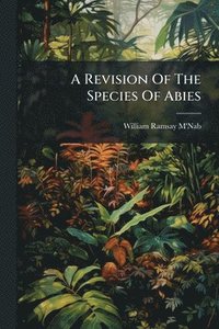 bokomslag Revision Of The Species Of Abies