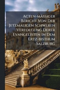 bokomslag Acten-mässiger Bericht Von Der Jetzmaligen Schweren Verfolgung Derer Evangelisten In Dem Ertz-bisthum Salzburg