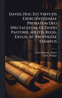 bokomslag David, Hoc Est Virtutis Exercitatissimae Probatum Deo Spectaculum, Ex David Pastoris, Militis, Regis, Exulis, Ac Prophetae Exemplis