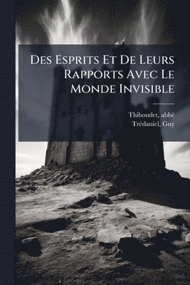 bokomslag Des Esprits Et De Leurs Rapports Avec Le Monde Invisible