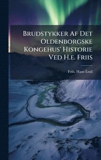 bokomslag Brudstykker Af Det Oldenborgske Kongehus' Historie Ved H.e. Friis