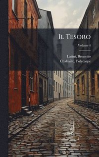 bokomslag Il Tesoro
