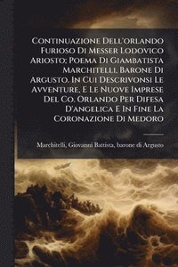 bokomslag Continuazione Dell'orlando Furioso Di Messer Lodovico Ariosto; Poema Di Giambatista Marchitelli, Barone Di Argusto. In Cui Descrivonsi Le Avventure, E Le Nuove Imprese Del Co. Orlando Per Difesa D'...