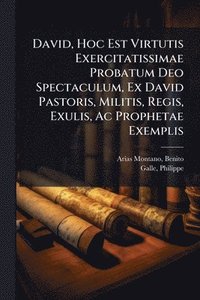 bokomslag David, Hoc Est Virtutis Exercitatissimae Probatum Deo Spectaculum, Ex David Pastoris, Militis, Regis, Exulis, Ac Prophetae Exemplis