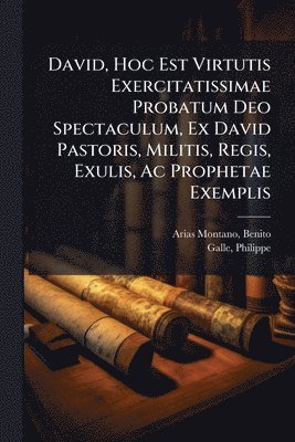 bokomslag David, Hoc Est Virtutis Exercitatissimae Probatum Deo Spectaculum, Ex David Pastoris, Militis, Regis, Exulis, Ac Prophetae Exemplis