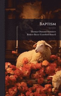bokomslag Baptism