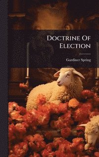 bokomslag Doctrine Of Election