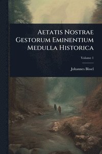 bokomslag Aetatis Nostrae Gestorum Eminentium Medulla Historica