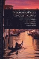 bokomslag Dizionario Della Lingua Italiana
