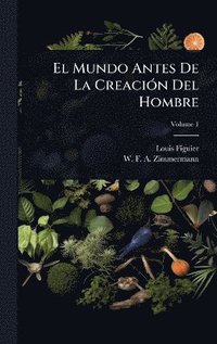 bokomslag Mundo Antes De La CreaciÃ3n Del Hombre