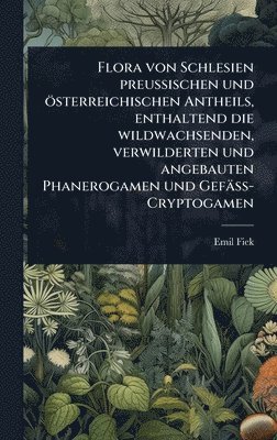 bokomslag Flora von Schlesien preussischen und österreichischen Antheils, enthaltend die wildwachsenden, verwilderten und angebauten Phanerogamen und Gefäss-Cryptogamen