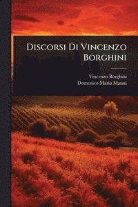 bokomslag Discorsi Di Vincenzo Borghini