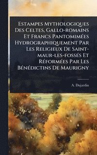bokomslag Estampes Mythologiques Des Celtes, Gallo-romains Et Francs PantomimÃ(c)es Hydrographiquement Par Les Religieux De Saint-maur-les-fossÃ(c)s Et RÃ(c)for