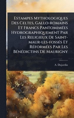 bokomslag Estampes Mythologiques Des Celtes, Gallo-romains Et Francs PantomimÃ(c)es Hydrographiquement Par Les Religieux De Saint-maur-les-fossÃ(c)s Et RÃ(c)for