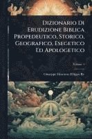 bokomslag Dizionario Di Erudizione Biblica Propedeutico, Storico, Geografico, Esegetico Ed Apologetico