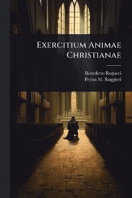 bokomslag Exercitium Animae Christianae