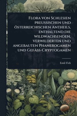 bokomslag Flora von Schlesien preussischen und österreichischen Antheils, enthaltend die wildwachsenden, verwilderten und angebauten Phanerogamen und Gefäss-Cryptogamen