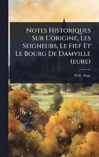 bokomslag Notes Historiques Sur L'origine, Les Seigneurs, Le Fief Et Le Bourg De Damville (eure)