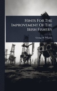 bokomslag Hints For The Improvement Of The Irish Fishery