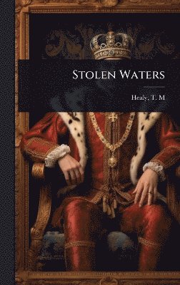 bokomslag Stolen Waters