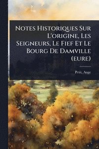 bokomslag Notes Historiques Sur L'origine, Les Seigneurs, Le Fief Et Le Bourg De Damville (eure)