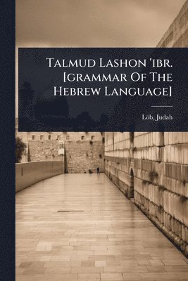 bokomslag Talmud Lashon 'ibr. [grammar Of The Hebrew Language]