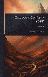 bokomslag Geology Of New-york