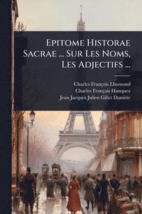 bokomslag Epitome Historae Sacrae ... Sur Les Noms, Les Adjectifs ...