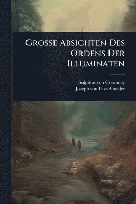 bokomslag Grosse Absichten Des Ordens Der Illuminaten