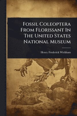 bokomslag Fossil Coleoptera From Florissant In The United States National Museum