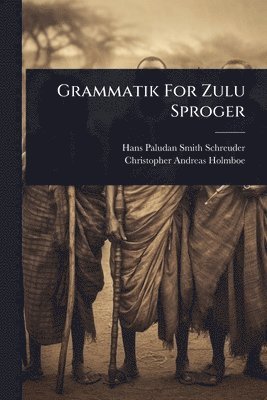 bokomslag Grammatik For Zulu Sproger