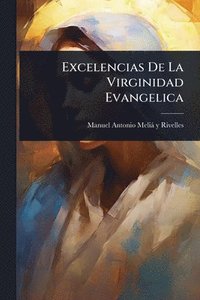 bokomslag Excelencias De La Virginidad Evangelica