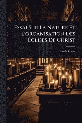 Essai Sur La Nature Et L'organisation Des Ãglises De Christ