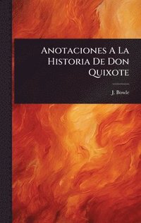 bokomslag Anotaciones A La Historia De Don Quixote