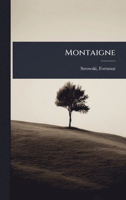 bokomslag Montaigne