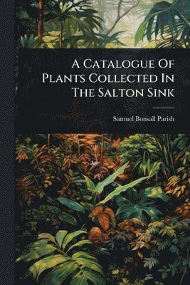Catalogue Of Plants Collected In The Salton Sink