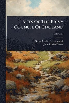 bokomslag Acts Of The Privy Council Of England