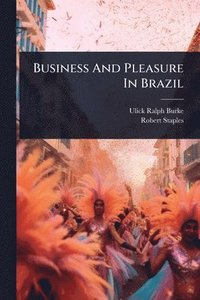 bokomslag Business And Pleasure In Brazil